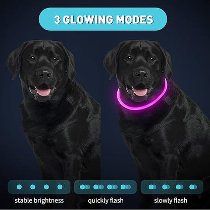 Frienda 4 Pcs Dog Collar LED USB Rechargeable Lights Dog Necklace Collars Doggy Lights for Night Walking Adjustable Safety Lamp Pet Collars for Large Medium Small Puppy(Classic Style,4 Colors)