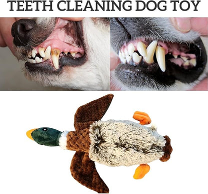 ME GUSTA SHOP Duck Dog Toy Squeak Toys | Mallard-Shaped | Shaped Pet Toys | Duck Dog Toys for Large Dogs | Mallard Dog Toy | Dog Chew Toys | Stuffed Toys Interactive Animal.