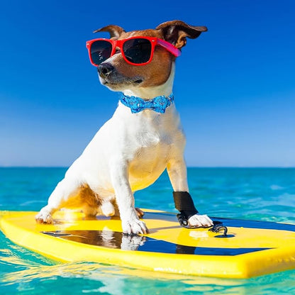 Maca Bates Summer Shark Dog Collar with Bow Tie Cute Blue Puppy Beach Bowtie Collars Sharks Adjustable Durable Soft for Dogs for Girl Boy Male Female Pets with Metal Buckle,Medium