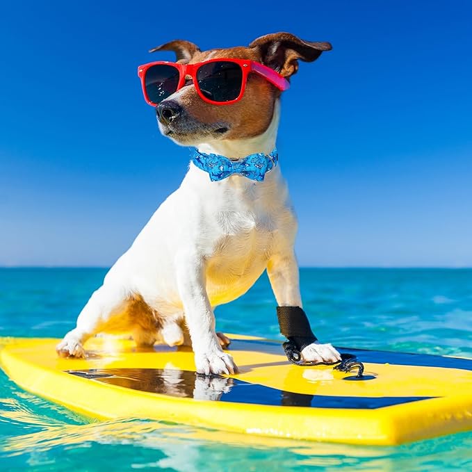 Maca Bates Summer Shark Dog Collar with Bow Tie Cute Blue Puppy Beach Bowtie Collars Sharks Adjustable Durable Soft for Dogs for Girl Boy Male Female Pets with Metal Buckle,Small