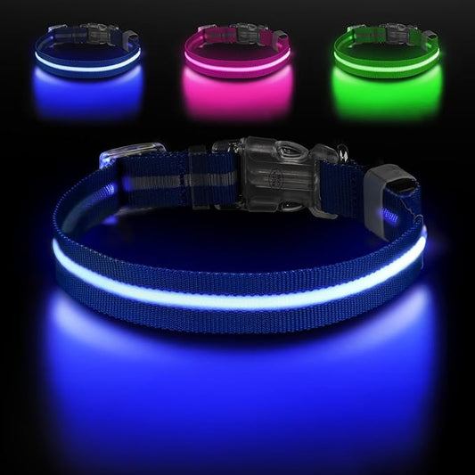 Jewyow Light Up Dog Collar, Adjustable USB Rechargeable Glow in Dark Dog Collar ，Waterproof Dog Collars for Medium Dogs (Blue, Medium)