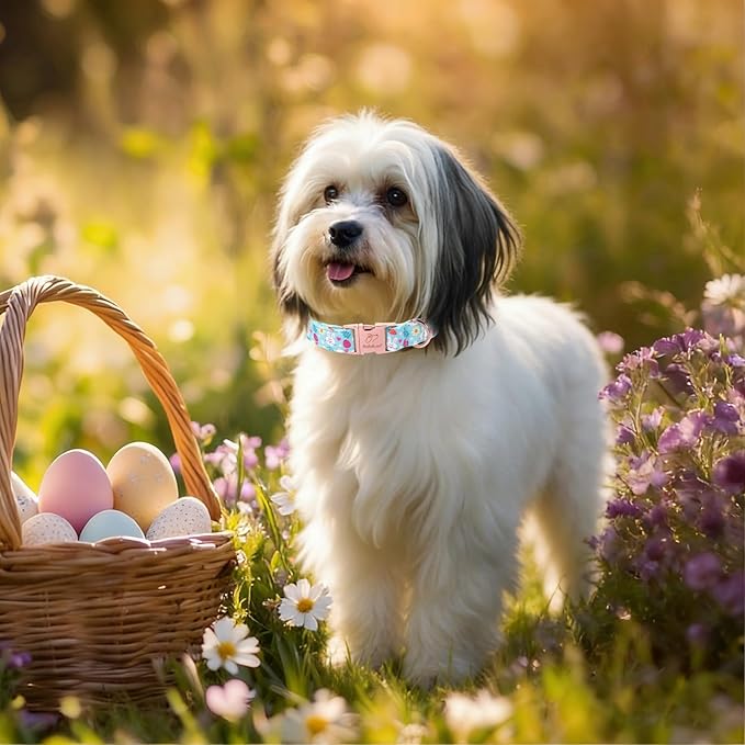 Easter Dog Collar, Cute Blue Bunny Easter Collar for Boy Girl Dogs, Adjustable Heavy Duty Spring Holiday Dog Collars for Small Medium Large Dogs with Metal Buckle XS