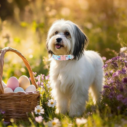 Easter Dog Collar, Cute Blue Bunny Easter Collar for Boy Girl Dogs, Adjustable Heavy Duty Spring Holiday Dog Collars for Small Medium Large Dogs with Metal Buckle XS