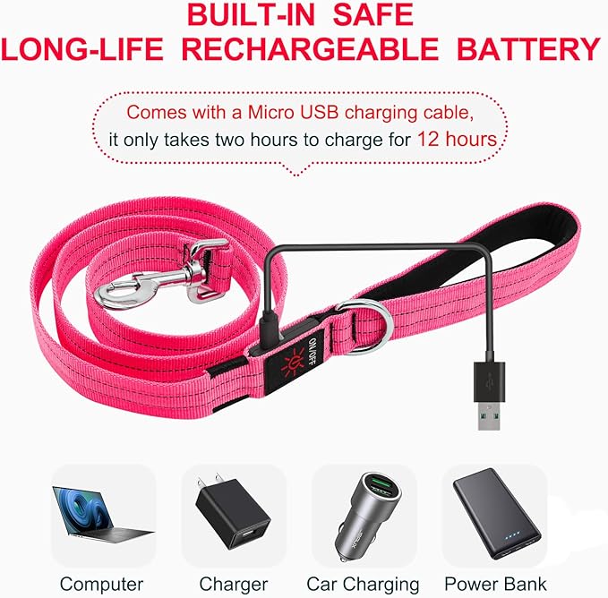 Led Dog Leash, 4 Ft Light Up Dog Leash Rechargeable Waterproof, Nylon Reflective Leashes with Padded Handle for Night Walking, Safety Glow in The Dark Dog Leash for Large Medium Small Pets