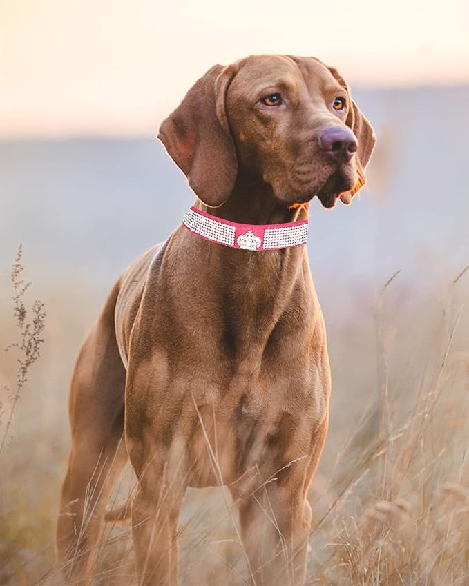 Bling Dog Collar for Small Medium Large Dogs, Crown Rhinestone Dog Collars for Girl and boy Dog, Diamond Puppy Collars, Adjustable Leather Suede SOFE Cat Collar (S(10.6"-13"/27CM-33CM), Rose Red)