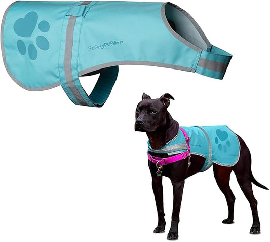 SafetyPUP XD Dog Reflective Vest – Hi-Vis Fluorescent Visibility That Helps to Safeguard Your Pet On/Off Leash in Urban & Rural Areas (Teal, Large)