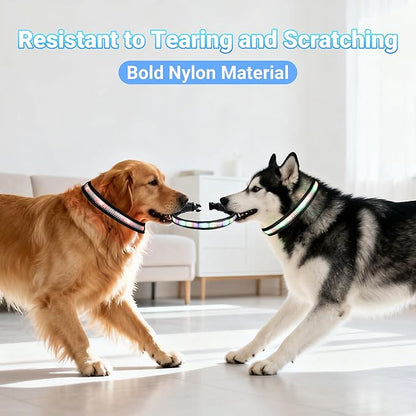 Light Up Dog Collar, USB Rechargeable, Waterproof LED Dog Collar with Remote Control, Adjustable Night Safety Pet LED Collar, Suitable for Small, Medium, and Large Dogs (L)