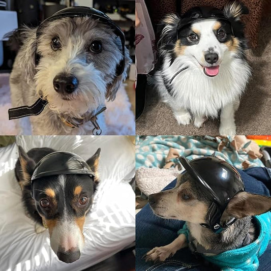 Small Dog Helmet with Ear Holes - Adjustable, Lightweight, Hard Black Pet Helmet for Outdoor Activities/Motorcycle/Bike
