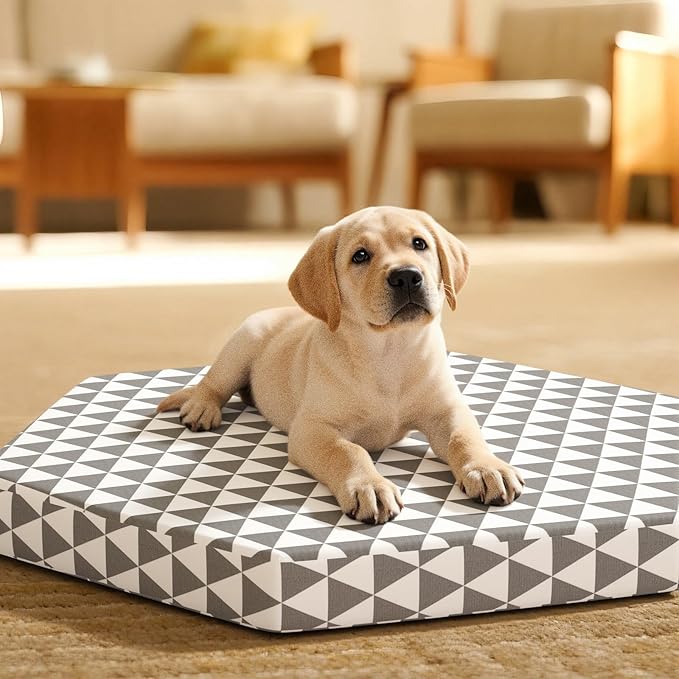 Orthopedic Dog Beds for Small Dogs, Pet Bed with 6 Sides,Removable & cleanable Cover，S