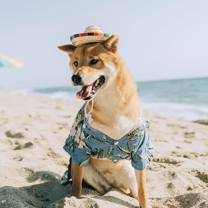 Pet Straw Hat Funny Mexican Sombrero Cap Party Decorations Cinco De Mayo Pet Hats for Small Pets/Puppy/Cat