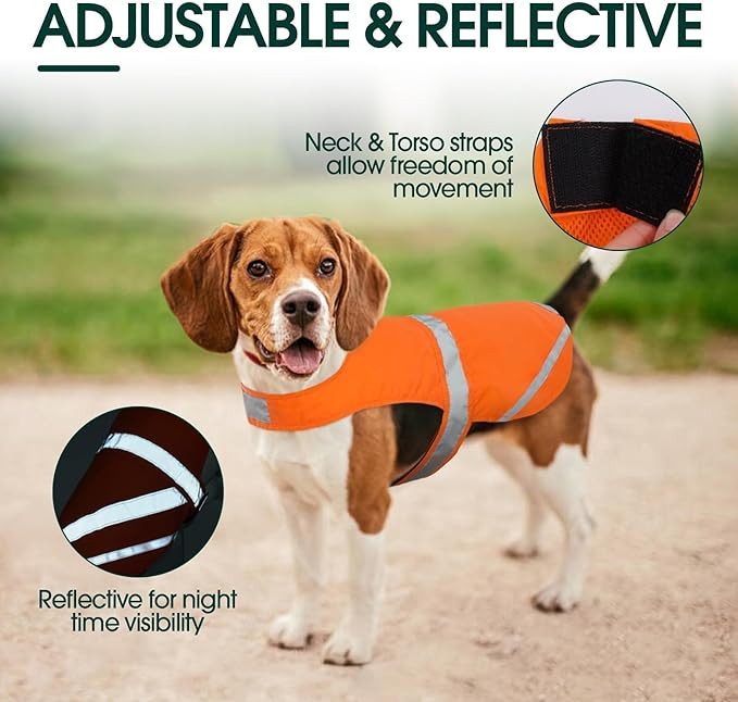 Kuoser Reflective Dog Vest, High Visibility Safety Vest for Medium to Large Dogs, Lightweight Pet Reflective Vests for Hunting Outdoor Activities Walking at Night, Blaze Orange 2XL