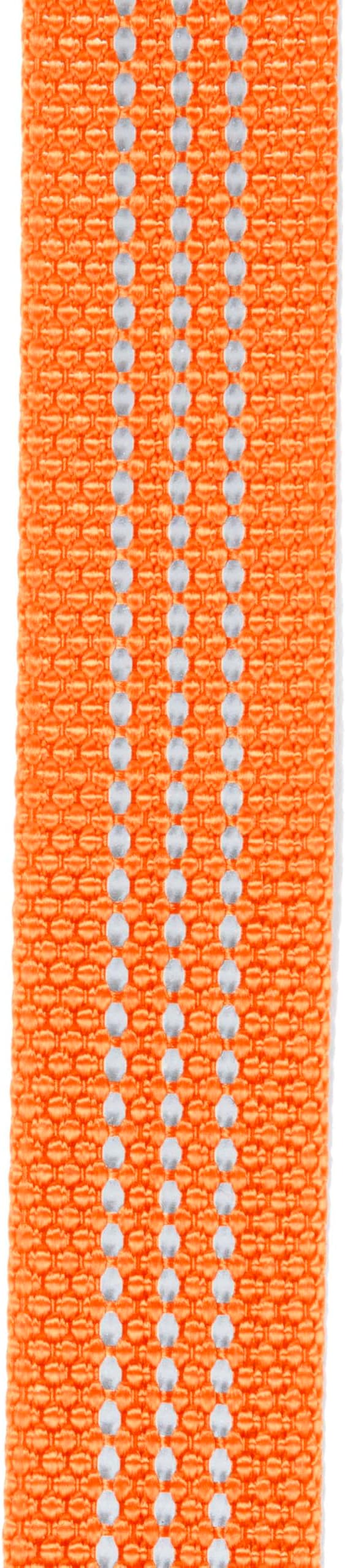 Carhartt Nylon Webbing Dog Collar, Fully Adjustable W/Durable Side Release Buckle, Hunter Orange, Large