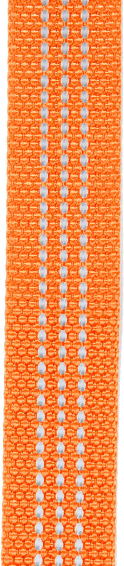 Carhartt Nylon Webbing Dog Collar, Fully Adjustable W/Durable Side Release Buckle, Hunter Orange, Large