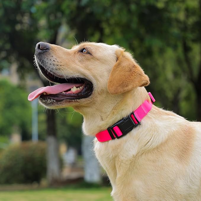 Waterproof Dog Collar, Easy to Clean Rubber Dog Collars with Quick Release Buckle Fits Small Medium or Large Dogs (Pink, M < 11.8-18.5 inch)