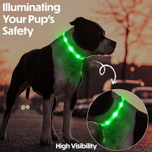 Light Up Dog Collar – Reflective, Adjustable & Rechargeable Electronic Glow Pet Collars – Bright, Comfortable, High Visibility LED Dog Collar for Night Safety, Outdoor Walk, Flashing Fun, Green, Large