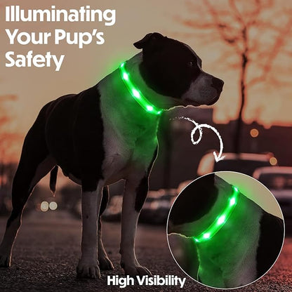 Light Up Dog Collar – Reflective, Adjustable, Rechargeable Electronic Glow Pet Collars – Bright, Comfortable, High Visibility LED Dog Collar for Night Safety, Outdoor Walk, Flashing Fun, Green, Medium