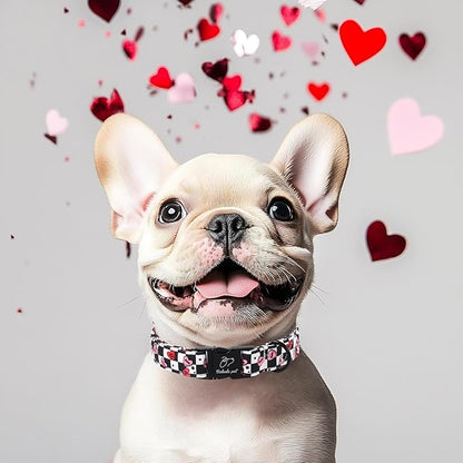 Valentines Dog Collar for Medium Dogs - Unique Black White Plaid Girl Boy Valentine Heart Dog Collars, Adjustable Heavy Duty Pet Collar with Metal Buckle M