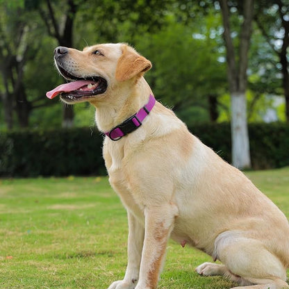 Waterproof Dog Collar, Easy to Clean Rubber Dog Collars with Quick Release Buckle Fits Small Medium or Large Dogs (Purple, L < 15.4-24.8 inch)