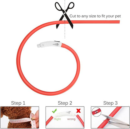 LED Dog Collar,USB Rechargeable Glowing Dog Collars, Light Up Collar Improved Pet Safety &Visibility at Night, 3 Flashing Modes,Water-Resistant LED Lighted Fits for Small Medium Large Dogs