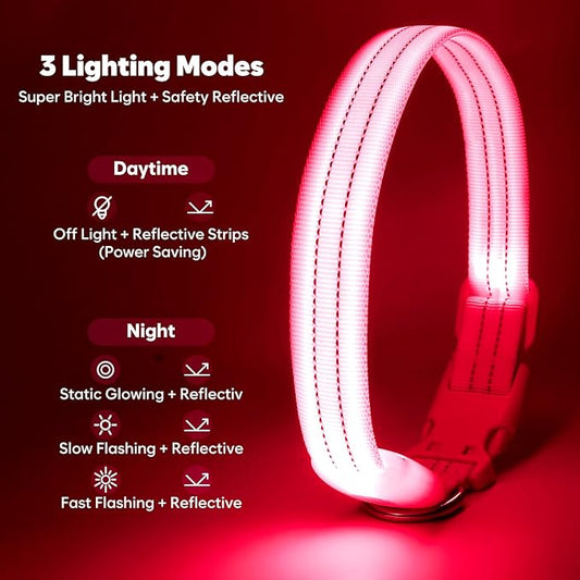 LED Lighted Reflective Dog Collar for Night Safety, USB Rechargeable, Glow Collar for Dogs, Waterproof Adjustable Flashing (Pink, Medium)
