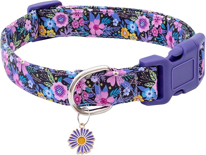 Faygarsle Cotton Dog Collar Cute Dog Collars for Small Medium Large Dogs Purple Floral Colored Options Soft and Fancy Pet Collars for Girls Flower Pattern for Girl Dog Collar XS