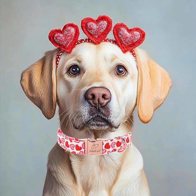 Valentines Dog Collar, Pink Heart Print Girl Dog Collars, Cute Valentine Puppy Collars, Adjustable Heavy Duty Pet Collar for Small Medium Large Dogs with Metal Buckle XS