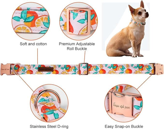 Unique style paws Dog Collar Metal Buckle Gift for Small Medium Large Boys Girls Dogs orange
