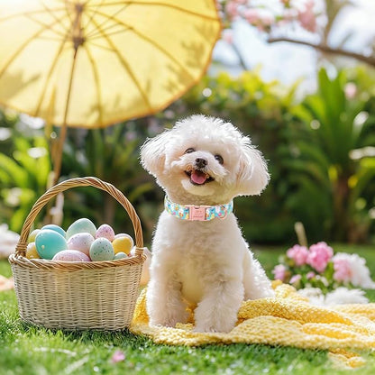 Easter Dog Collar, Cute Egg Hunt Easter Collars for Giant Large Dogs, Playful Bunny & Chick Print, Adjustable Heavy Duty Boy Girl Spring Holiday Dog Collar with Metal Buckle XL