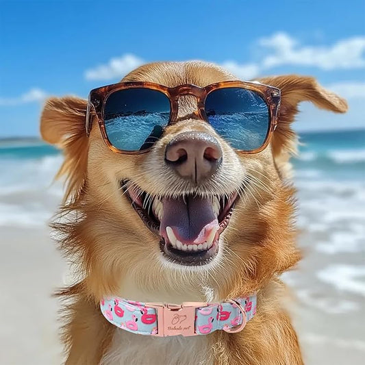 Adjustable Summer Dog Collar - Cute Pink Flamingo Dog Collars for Small Dogs, Durable Boy Girl Dogs Heavy Duty Metal Buckle Collar S