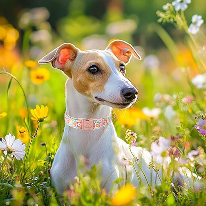 Spring Dog Collar, Pastel Checkered Flowers Pet Collar with Metal Buckel, Durable Adjustable Designer Dog Collars for Small Medium Large Dogs L