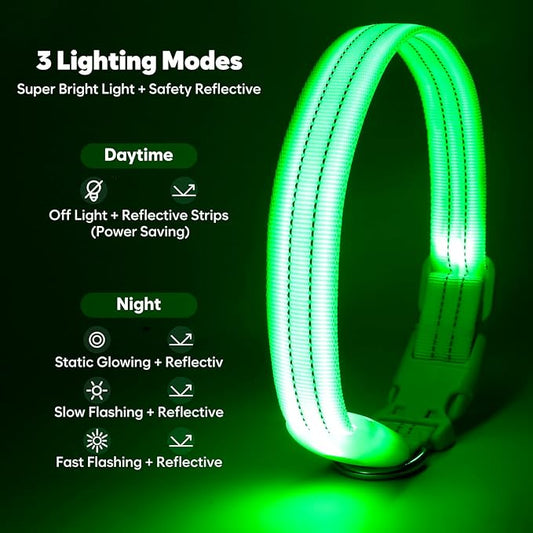 LED Dog Collar, Reflective Glow Collar for Night Safety, USB Rechargeable, Waterproof, Adjustable Flashing (Green, Small)
