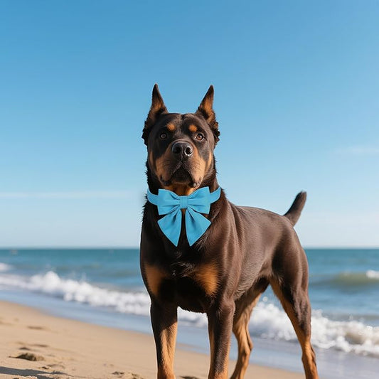 Maca Bates Sky Blue Dog Collar with Cute Solid Sailor Bow Tie for Extra Large Girl Boy Dogs,Adjustbale Durable Breakaway Soft Collars with Bowtie for Female Male Puppy,Pet with Metal Buckle
