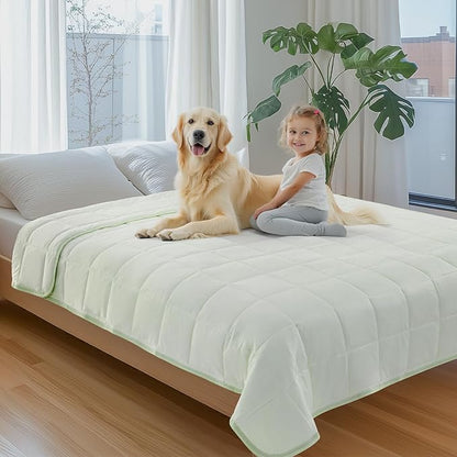 PICK FOR LIFE Cooling Blanket for Dogs, 0.4 Q-MAX Pets Cooling Comforter for Bed Cover, Summer Blanket for Large Dogs Washable, Soft Lightweight Cold Mats for Pet Hot Weather Sleeping (60"×80"/Green)
