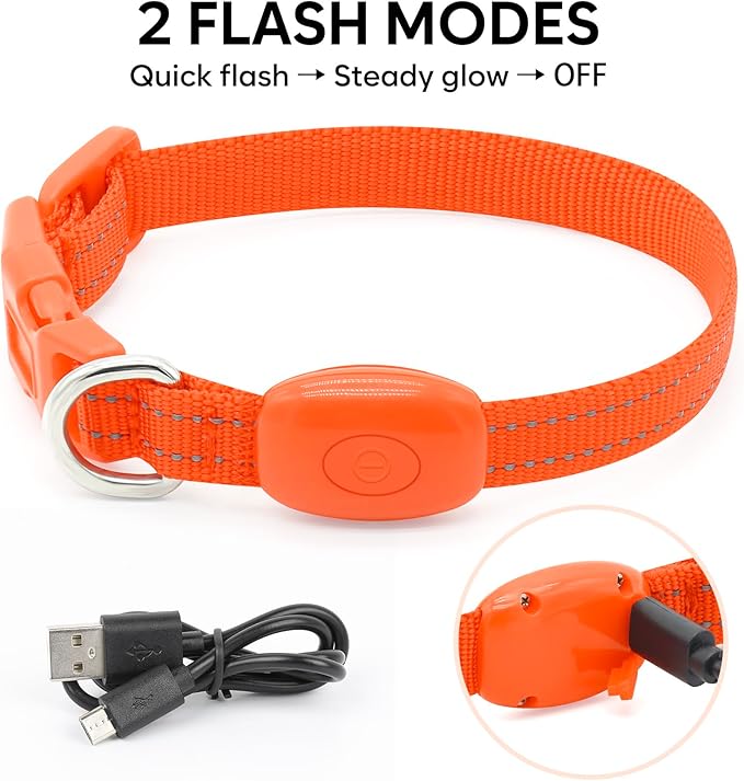 Light Up Dog Collar - Rechargeable LED Pet Collar for Puppies & Cats, Glowing Safety Dog Lights for Night Walking (Orange, XS)