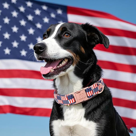 4th of July Dog Collar - US Flag Patriotic Dog Collars for Small Dogs, Adjustable Independence Day Stars & Stripes American Flag Collar S