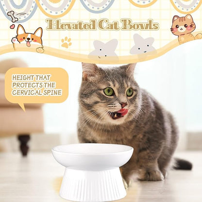 Layhit 2 Pack Raised Slow Feeder Cat Bowls Ceramic Elevated Cat Food Bowls Anti Vomiting Slow Feeder for Dog and Kitten for Dry and Wet Food(White)