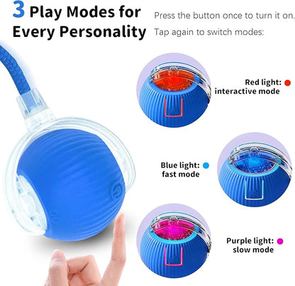 Interactive Cat Toys for Indoor Cats Smart Automatic Ball Rolling for Bored Kitten Pet Upgraded Speedy Moving Chase Dogs Toy Valentine's Day Gift Blue