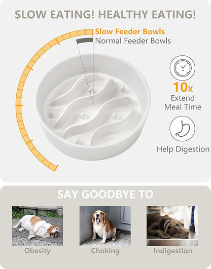 Ceramic Slow Feeder Dog Bowls Elevated, 0.6 Cup Dog Slow Feeder for Small Dogs, Puzzle Maze Bowl, 14oz, 6in, White
