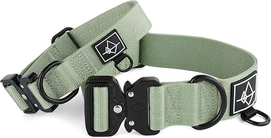 Made to ROAM Premium Dog Collar - Adjustable Heavy Duty Nylon Collar with Quick-Release Metal Buckle (Washington Rain, Classic Size 2.5)