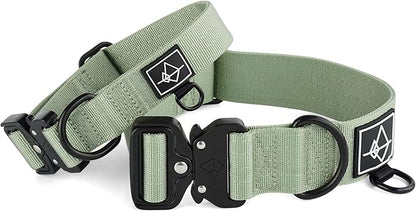 Made to ROAM Premium Dog Collar - Adjustable Heavy Duty Nylon Collar with Quick-Release Metal Buckle (Washington Rain, Classic Size 4)