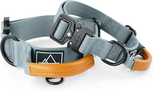 Made to ROAM Premium Explorer Control Collar - Adjustable Heavy Duty Nylon Dog Collar with Quick-Release Metal Buckle and Handle (Virginia Mountains, Control Size 5)