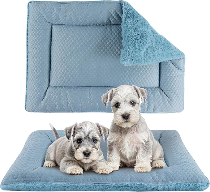 Dog Bed Mat, Crate Pad Reversible,Soft Kennel Pad, Washable Dog Crate Mat (Cool and Warm),Pet Sleeping Mattress for Small Medium Dogs XB009 (24''x18'',Blue)