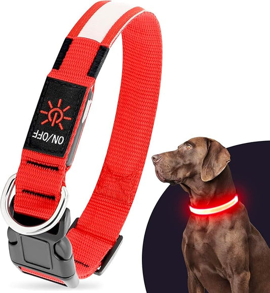 Illumifun LED Dog Collar, USB Rechargeable Light Up Dog Collars, Flashing Safety Dog Collar Glow in The Dark (Red, Medium)