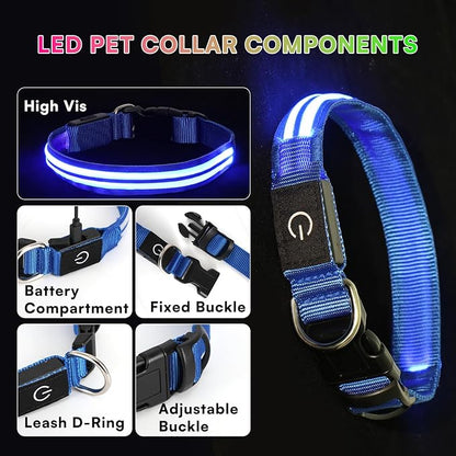 LED Light Up Dog Collar for Night Walking, Rechargeable Safety Glow Illuminated Collar with 3 Modes Flashing, Reflective Adjustable Pet Light for Small/Medium Dogs Puppy 15-19" Neck 1 Pack (Blue)