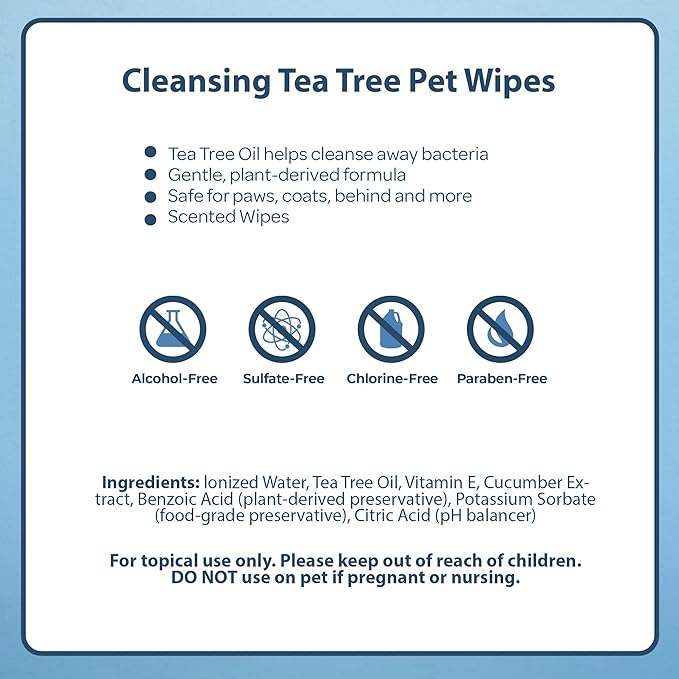 Best Pet Supplies 8" x 9" Large Dog Wipes - Cleaning and Deodorizing for Paws and Coat - Gentle Formula with Tea Tree Vitamin E for Puppies and Cats - 400 Count