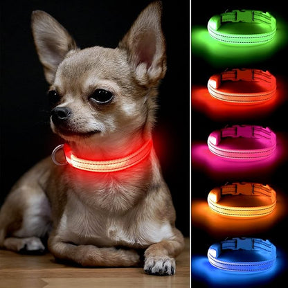 BSEEN LED Dog Collar - Rechargeable Light Up Dog Collar for Small Dogs& Cats, Reflective Adjustable Puppy Collar Safety Dog Lights for Night Walking (Red, XS)