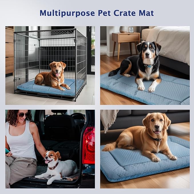 Dog Bed Mat, Crate Pad Reversible,Soft Kennel Pad, Washable Dog Crate Mat (Cool and Warm),Pet Sleeping Mattress for Small Medium Dogs XB009 (18''x13'',Blue)