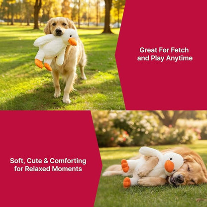 Pet Lou 15 Inch Duck Plush Dog Toy, Durable Super-Soft Fabric Squeaky Interactive Toy for Chewers, Heavy Duty Stuffed Dog Toy, Longest-Lasting