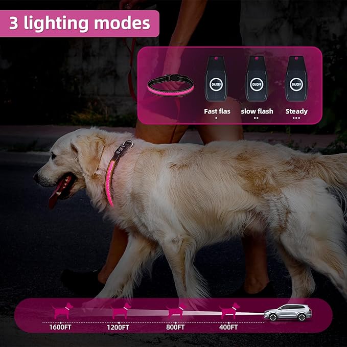Light Up Dog Collar: Rechargeable Waterproof Safety Pet Accessories - Glow in The Dark Dogs Collars for Night Walking - Best Flashing Neon Pink Lights and Glowing Lighted Gear in Nite Time