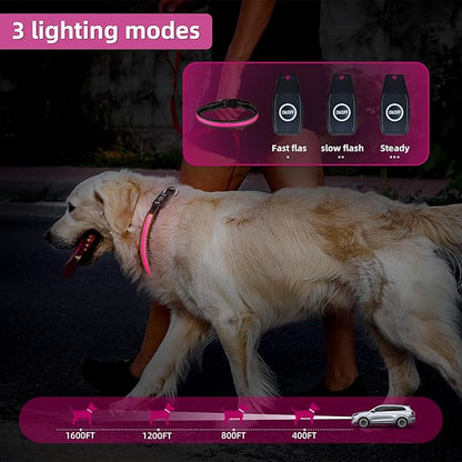 Light Up Dog Collar: Rechargeable Waterproof Safety Pet Accessories - Glow in The Dark Dogs Collars for Night Walking - Best Flashing Neon Pink Lights and Glowing Lighted Gear in Nite Time